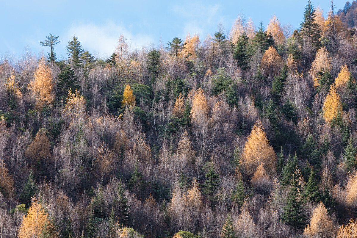 近年来安徽省中考英语完形填空测试的内容效度研究