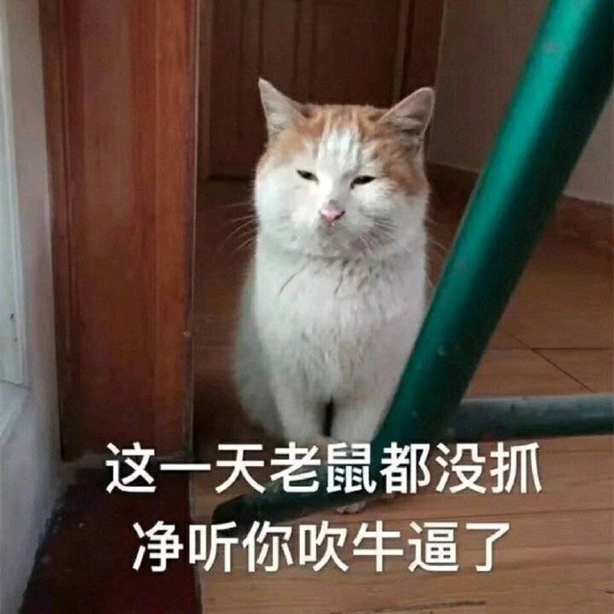 表情包：肥嘟嘟