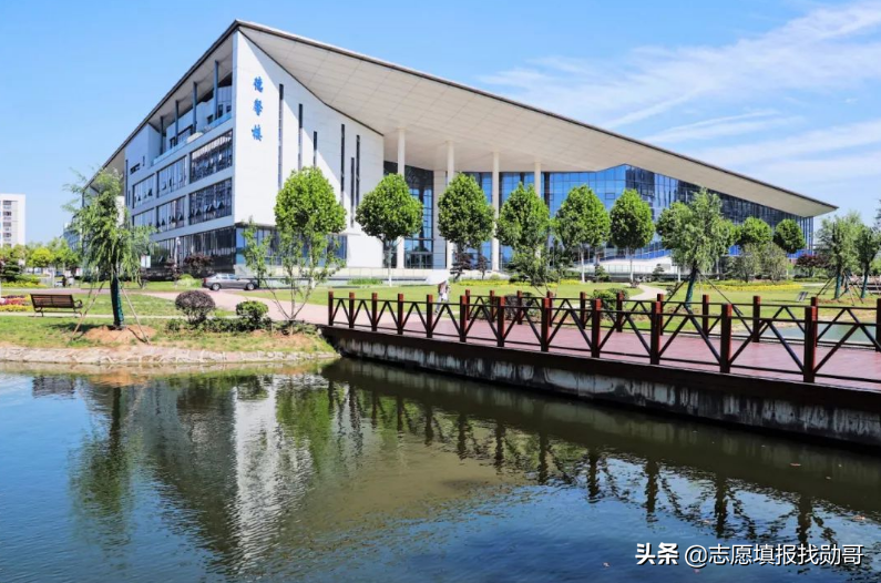 南京大学是985还是211学校（这所医科大学）