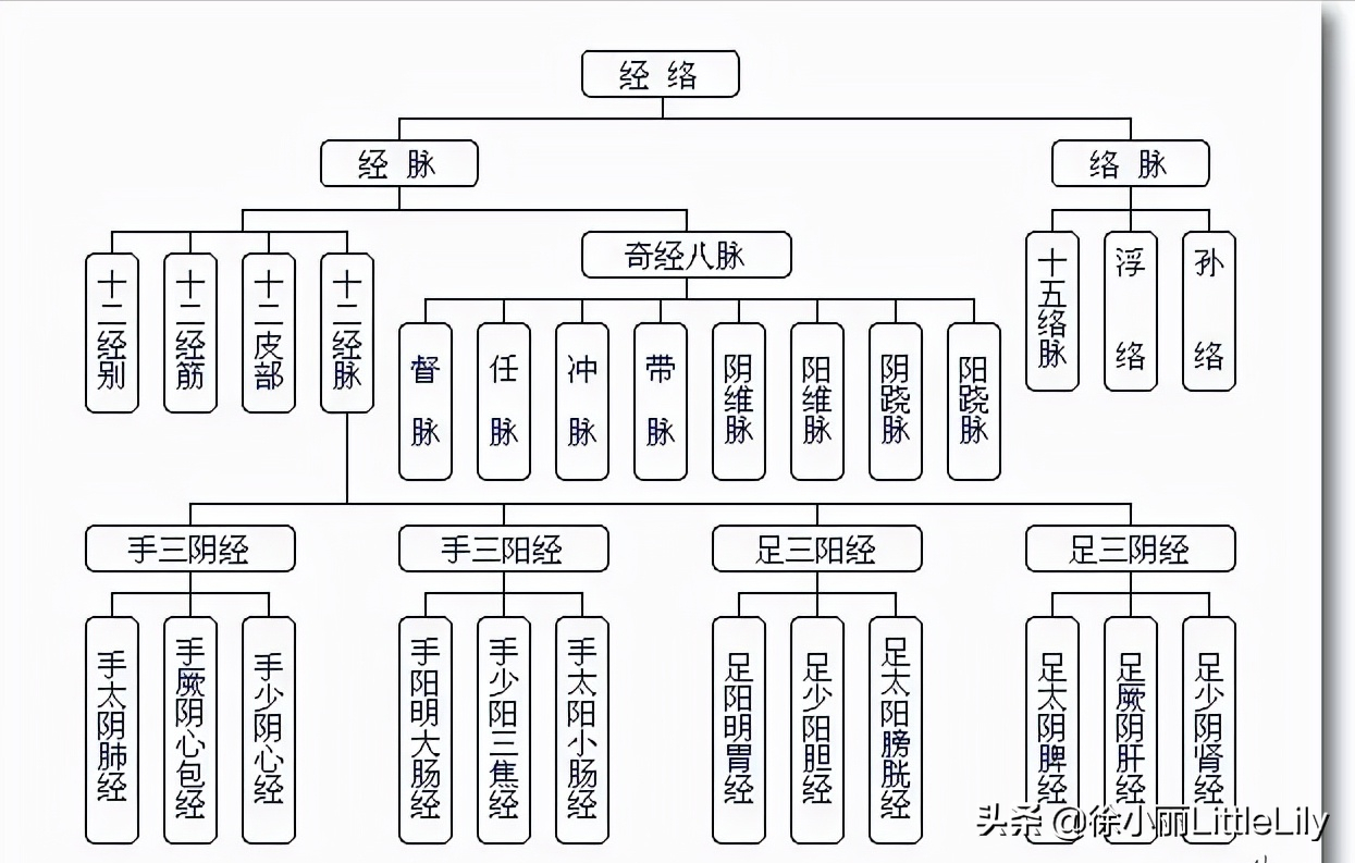 中医四大名著之神医扁鹊所著《难经》