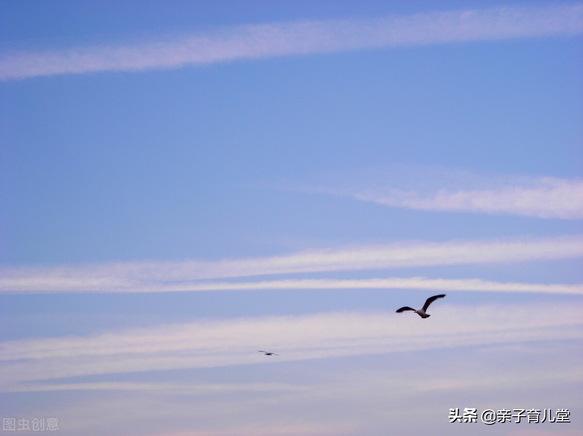 37分的高考作文，却得到阅卷教授力挺而改为54分，原因让人泪目