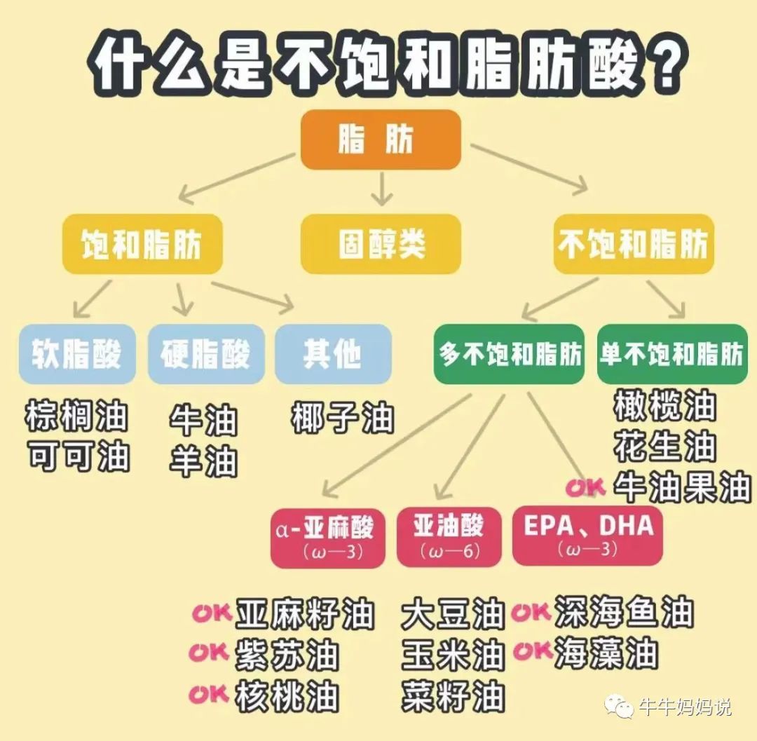 新手妈妈必看！史上最详细辅食油科普贴，附选购指南