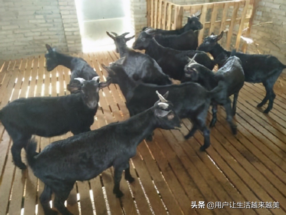 景德镇真是一个美丽的地方