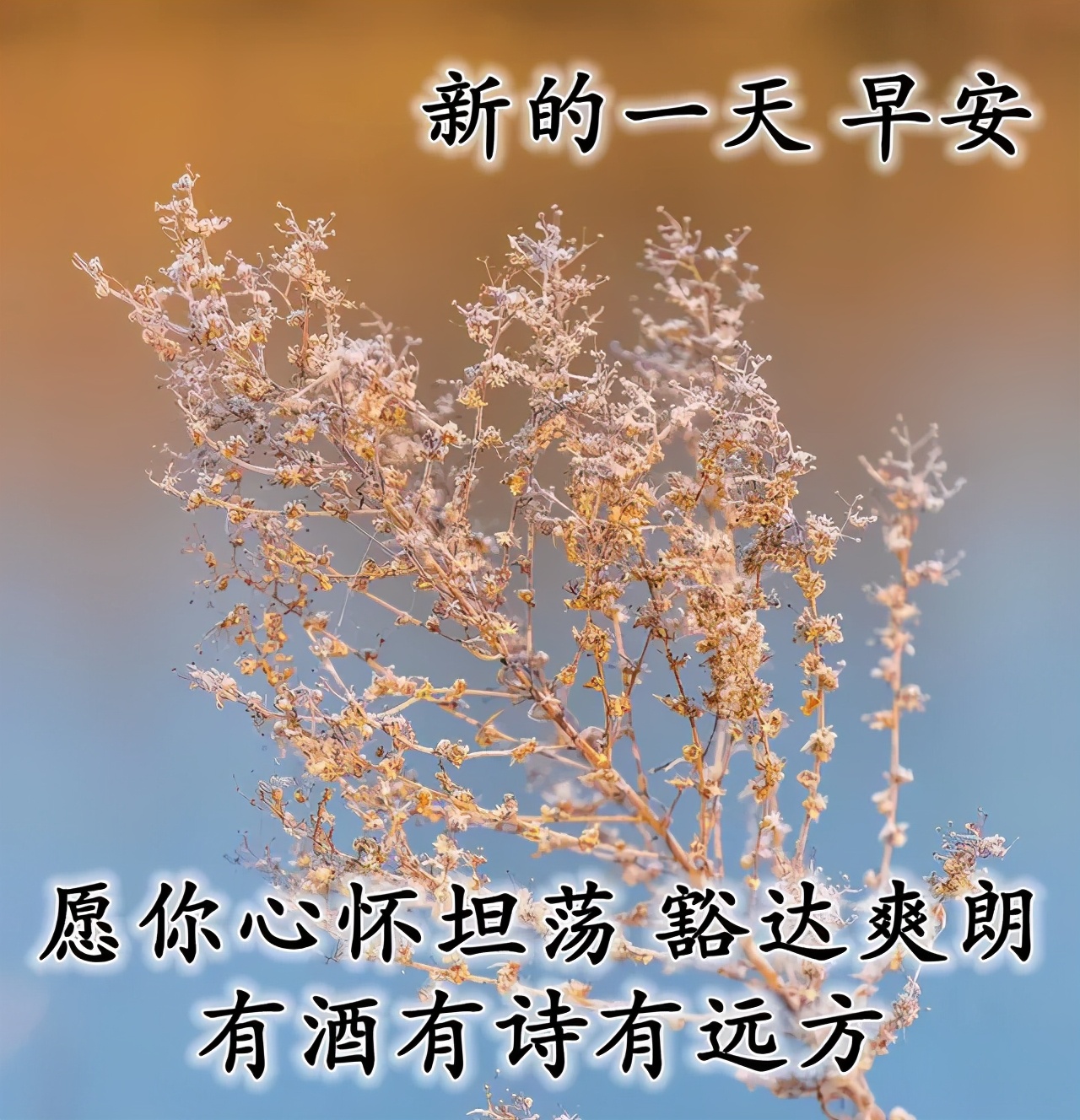 早安吉祥：愿你工作舒心，生活顺心，一切开心，早安