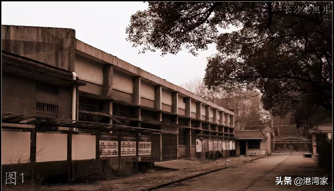 中南林学院老照片：校舍，旧图书馆，忆同学少年，风华正茂