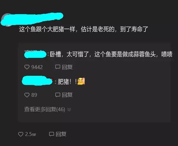 花鰱魚,花鰱魚怎么做好吃