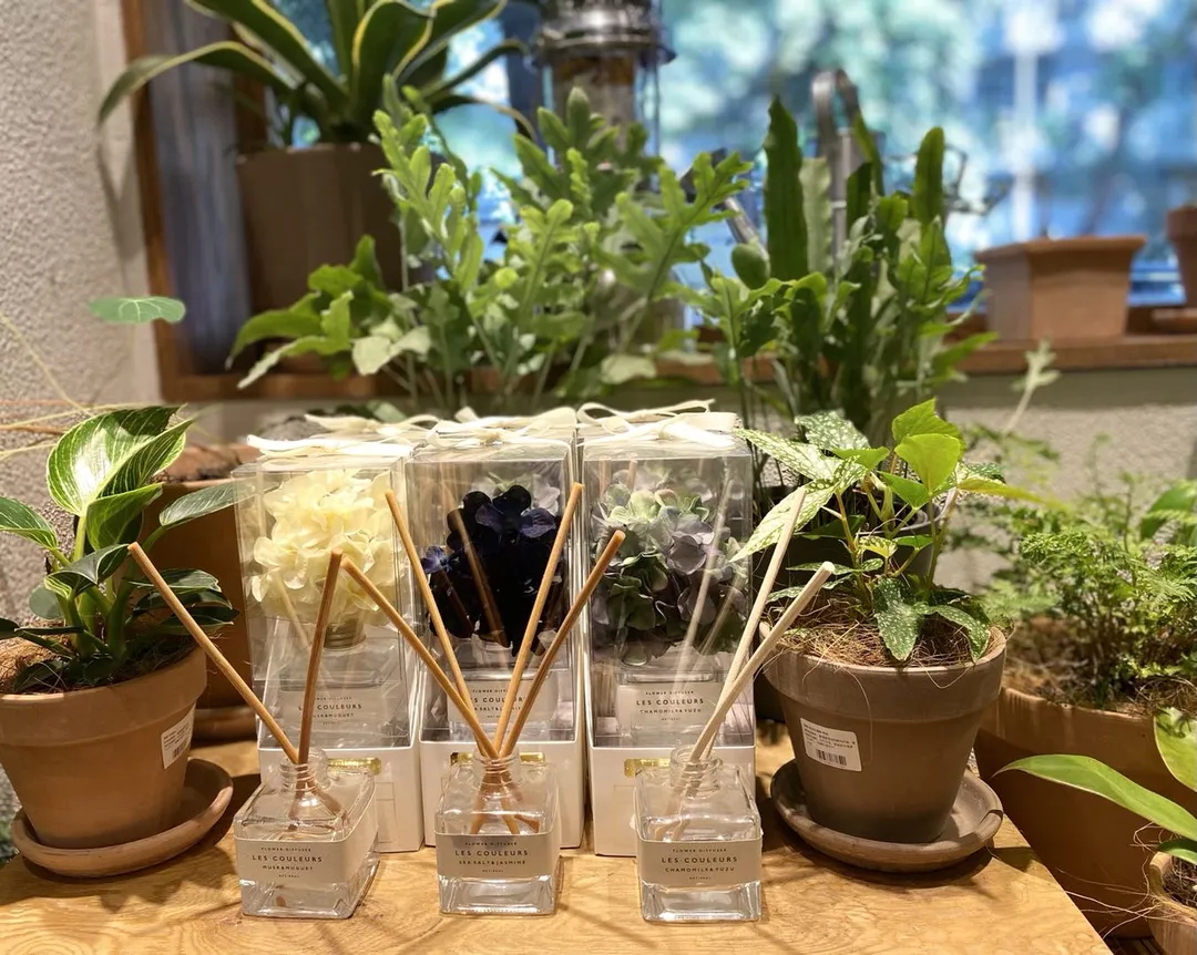 三分市井,七分温情,丰富路解锁金陵城里人间烟火气