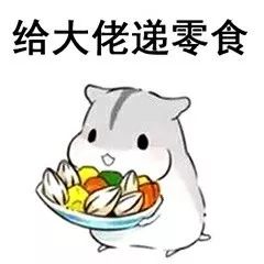 仓鼠能吃什么蔬菜水果（仓鼠饮食大全不怕养不活了）