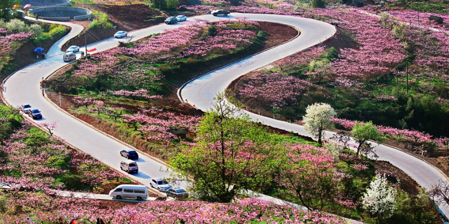成都市龙泉驿区高校信息