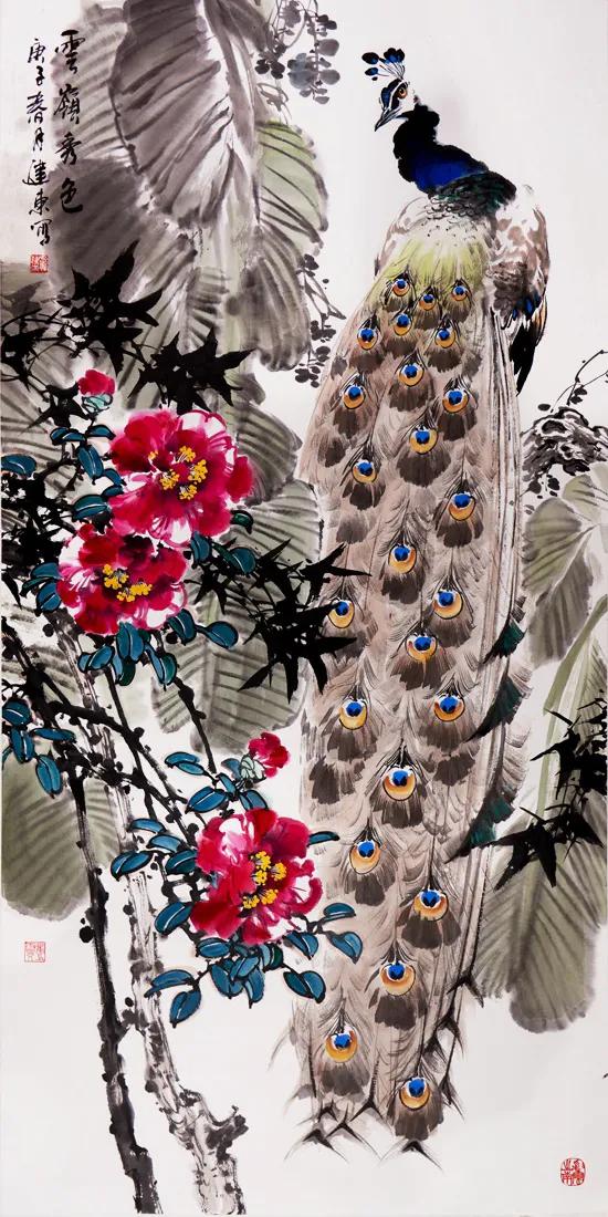 孔雀东南飞！高贵、冷艳的白孔雀