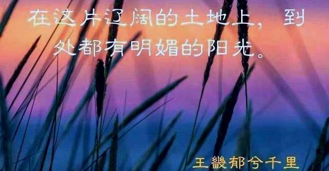 新疆财经大学商务学院转设新疆科技学院进入公示期
