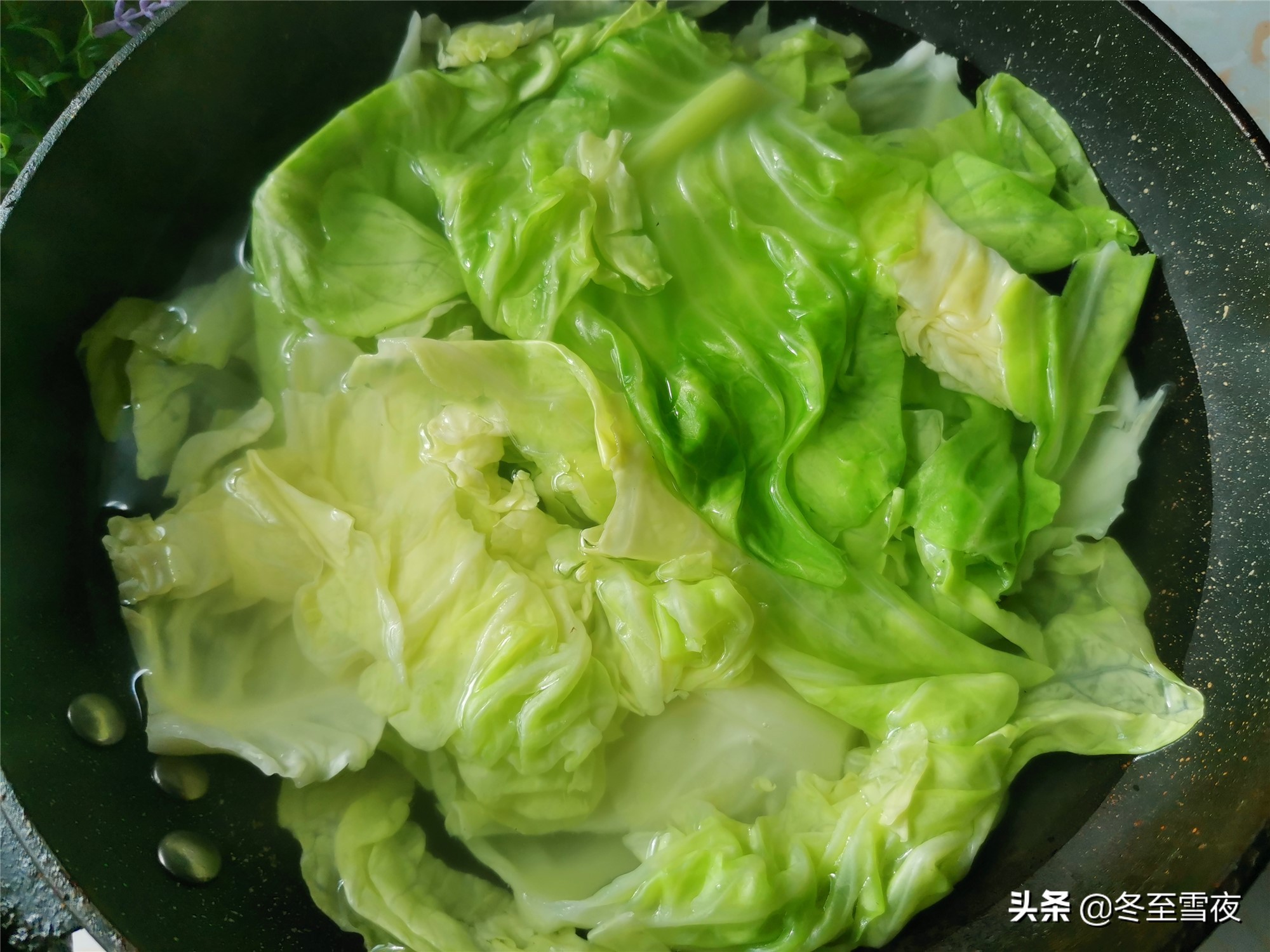 凉拌包菜的做法（好吃到舔盘子的下饭菜凉拌包菜）