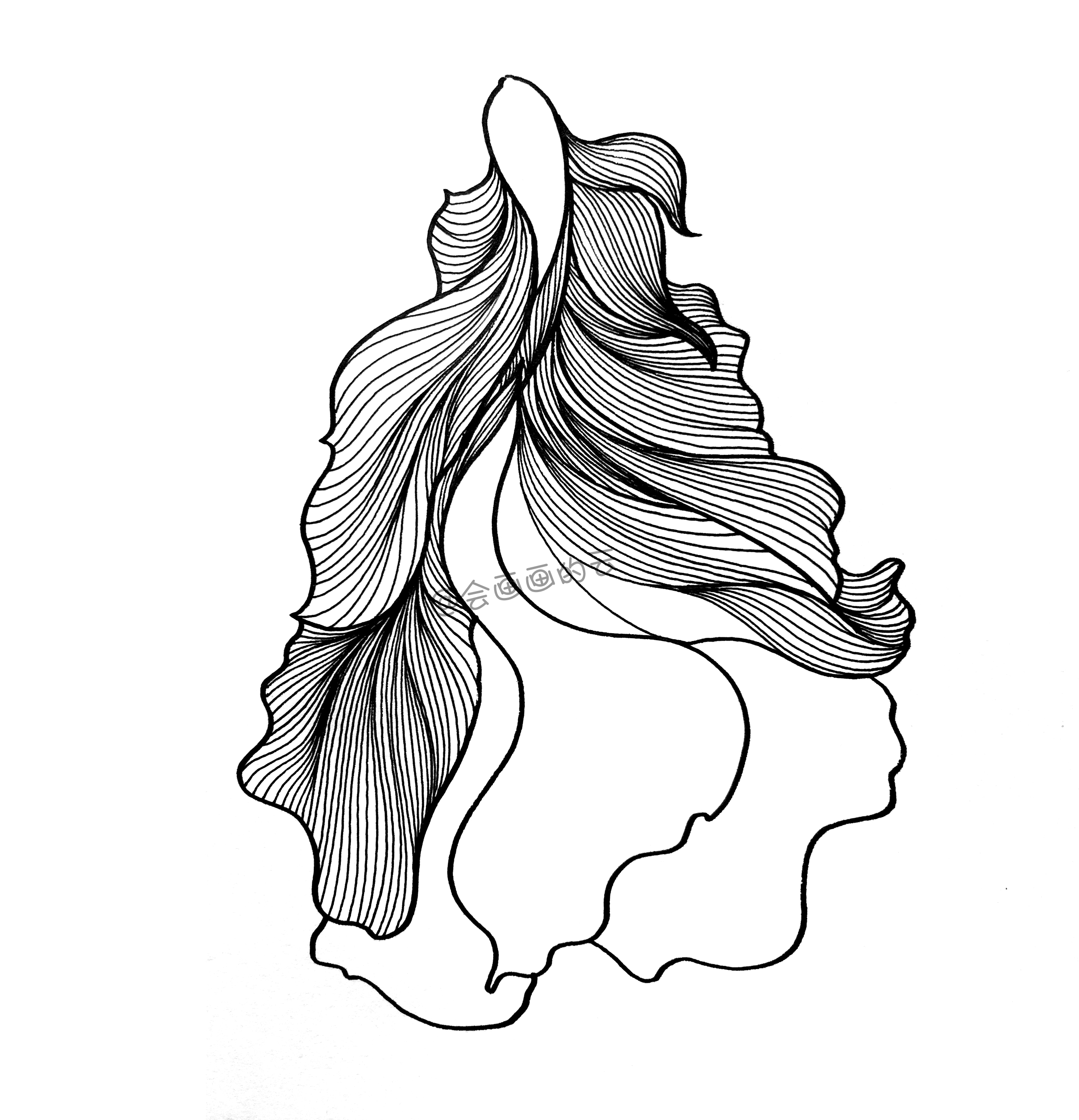 3款简笔画金鱼，零基础也可以画的线描画