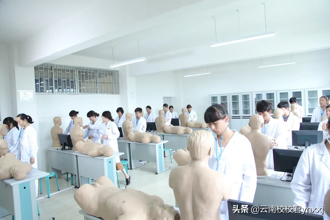 云南经济管理学院医学类五年制大专的基础医学系怎么样?
