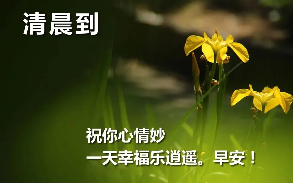 人生如车，或长途，或短途；人生如戏，或喜，或悲，早安