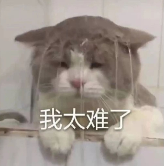 2021高考，河南考生600分都上不了211？看到真实数据，真有点残酷