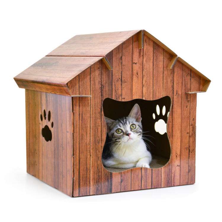 五花八门的猫窝盘点,从普通到硬核,你家猫会选哪个?