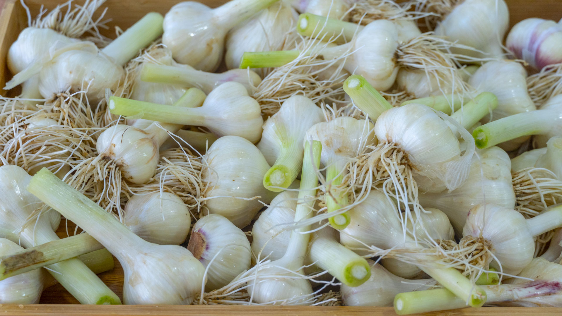 寒春易感冒，饮食注意少酸多辛，多吃“3白3红3黄”，顺利过春寒