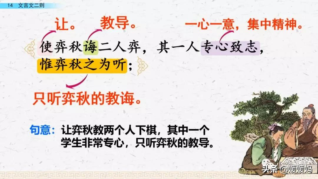 日出江花红胜火的作者及知识点分析