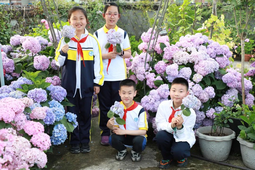 海妈花园访问｜想种花没地方？重庆小学老师在学校楼顶造了座花园