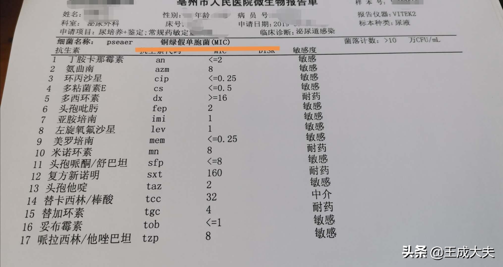 尿检细菌超标原因解析：泌尿系统感染的常见诱因及预防措施