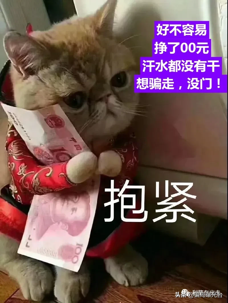 7月中旬，这80个互联网项目（含类似）的坑，不要去跳