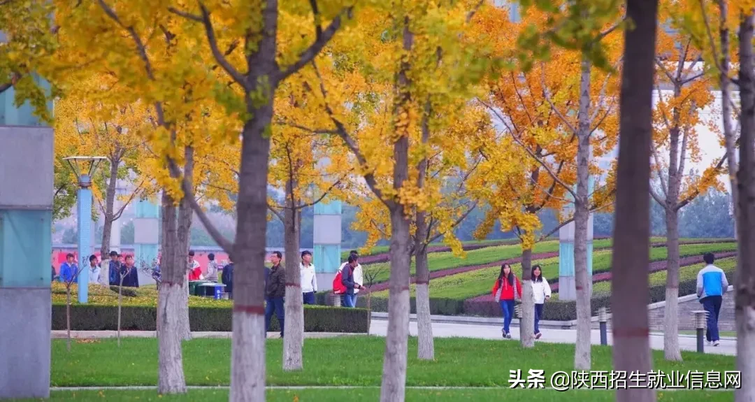 阳光正好丨多维度、高清图，带你一起了解咸阳职业技术学院