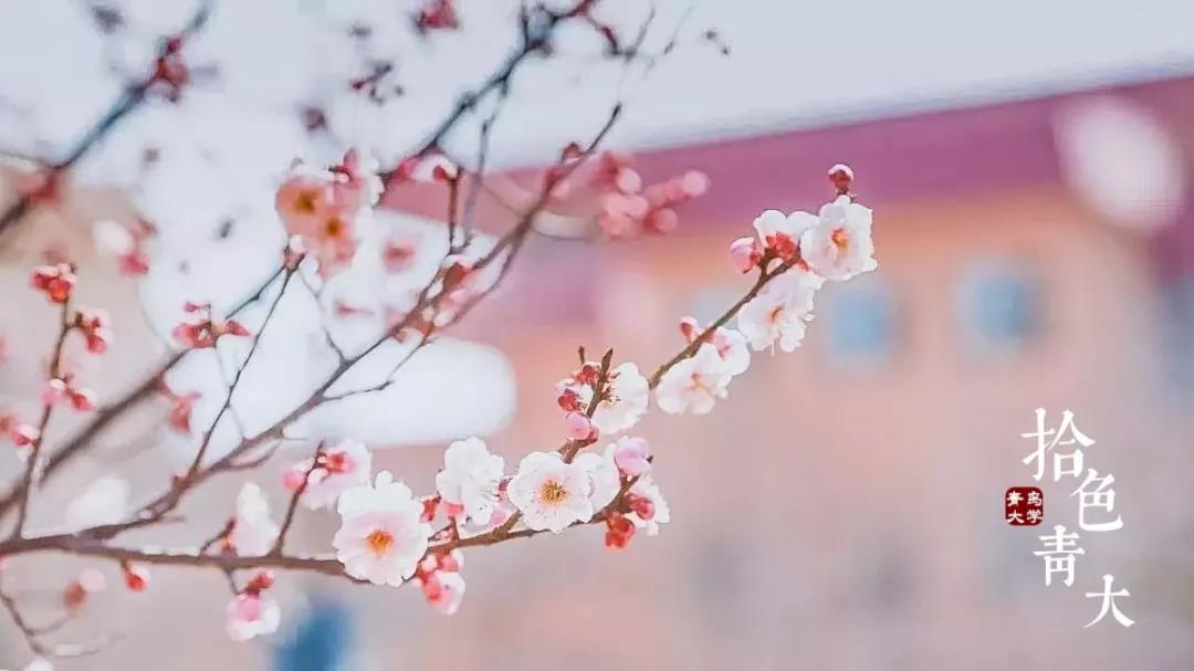 高清曝光！坐拥神仙颜值，山东最美“校花”就在这所大学里！