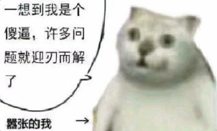 吃惊小猫表情包