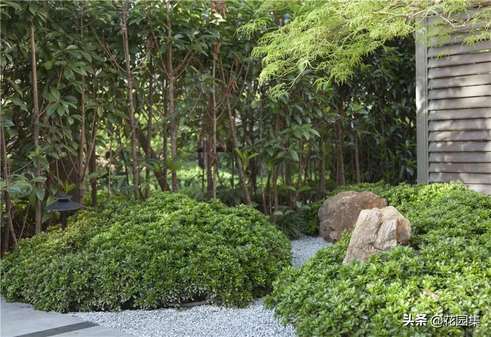 走近这个300m²花园,感受繁华都市中的小确幸