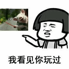 关于猪的整人套路表情包合集