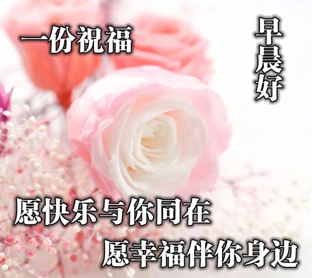 清晨和你一起共勉的早安句子，抖音很火带字带问候的早安美图