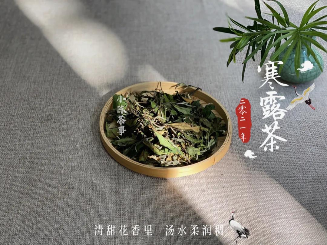 新手买白茶，到底是越贵越好，还是9.9的也有好货？该怎么选？