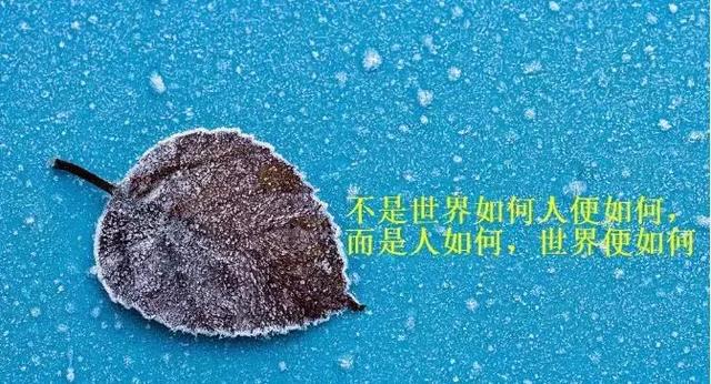 每天保持好心态的说说 阳光心态的心情短语图片