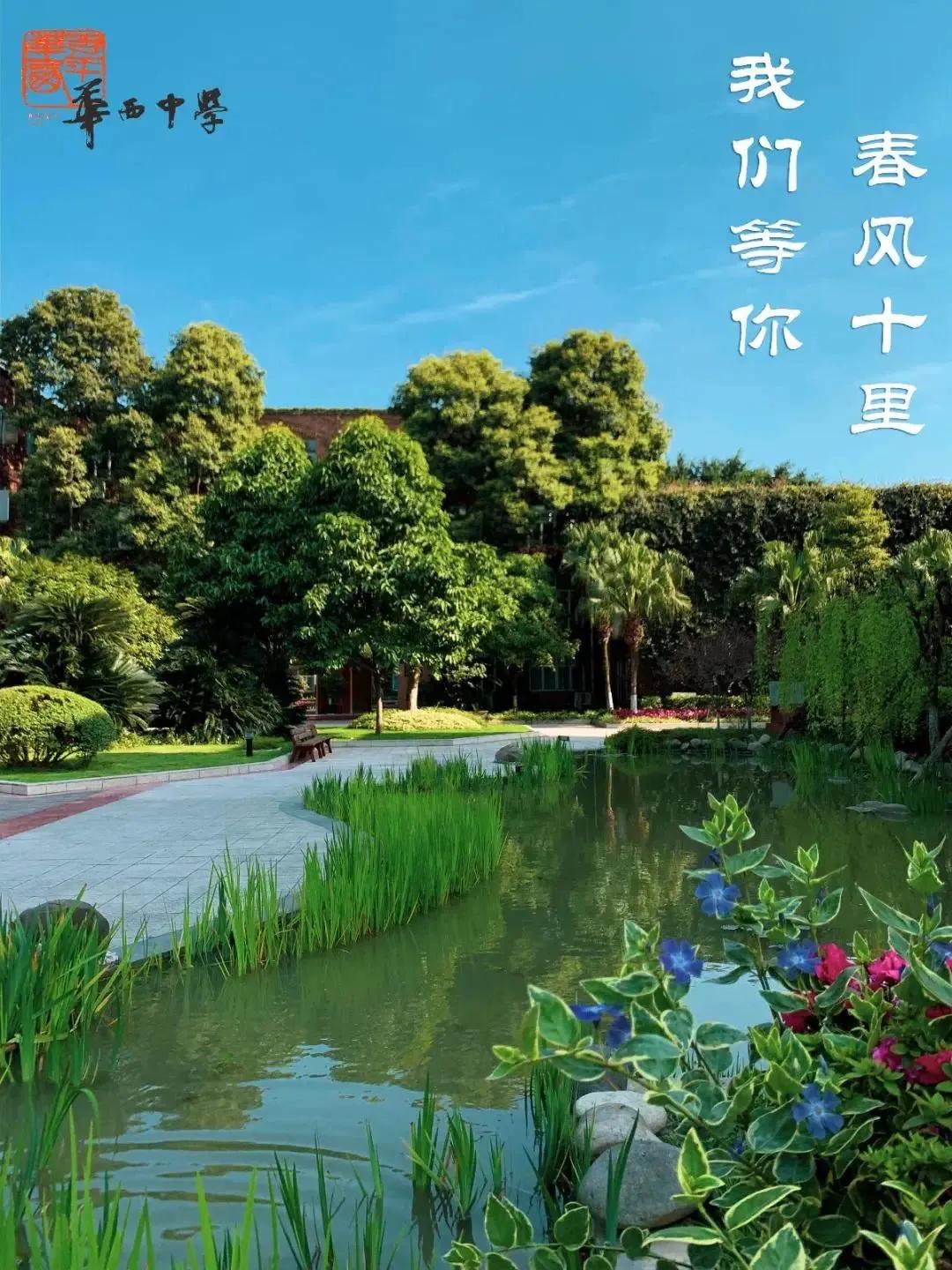 成都这些高校的附属中学，和其他中学又有啥区别呢？