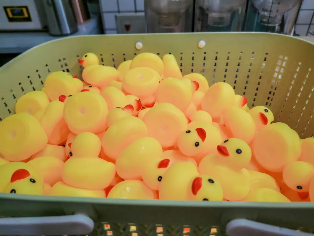 马住！继蓝花楹之后，昆明又添一网红打卡点