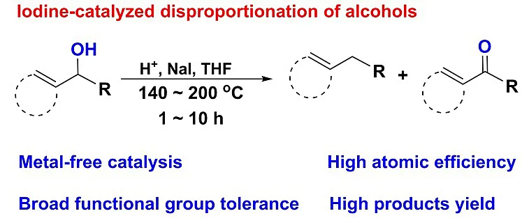 南昌大学杨维冉教授课题组碘催化最新研究工作概览