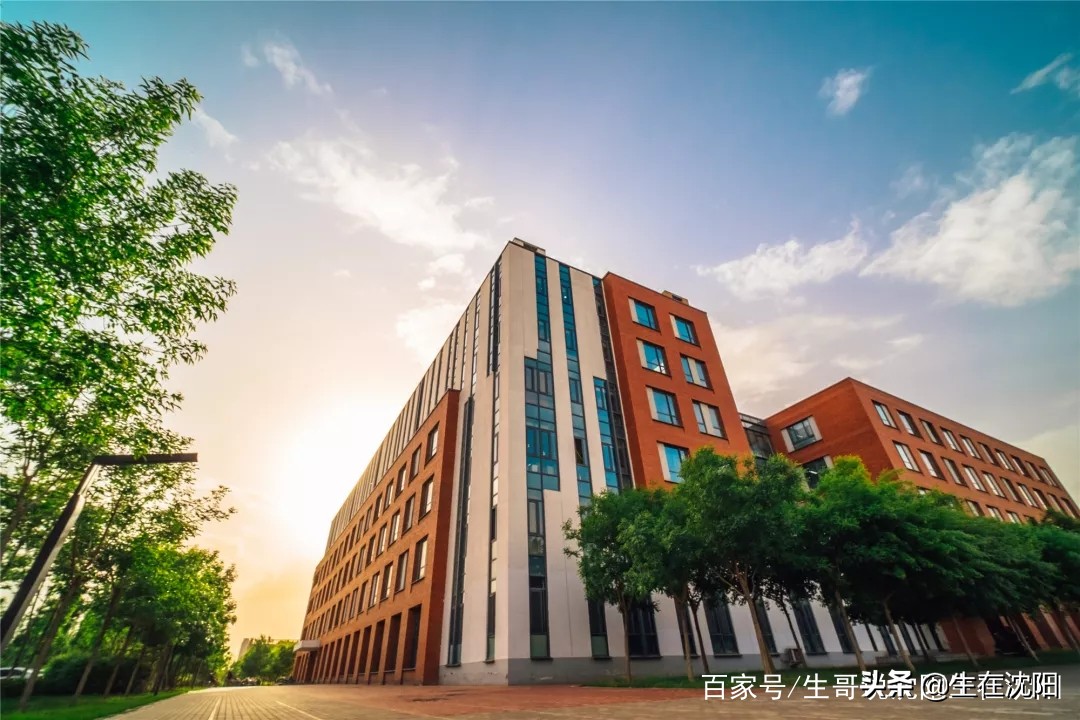 辽宁高考报考志愿进行时优秀的为啥都是别人家的孩子别的家的高