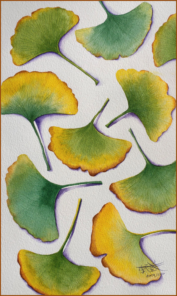 银杏叶简笔画(原创水彩入门教程-秋天的银杏叶)