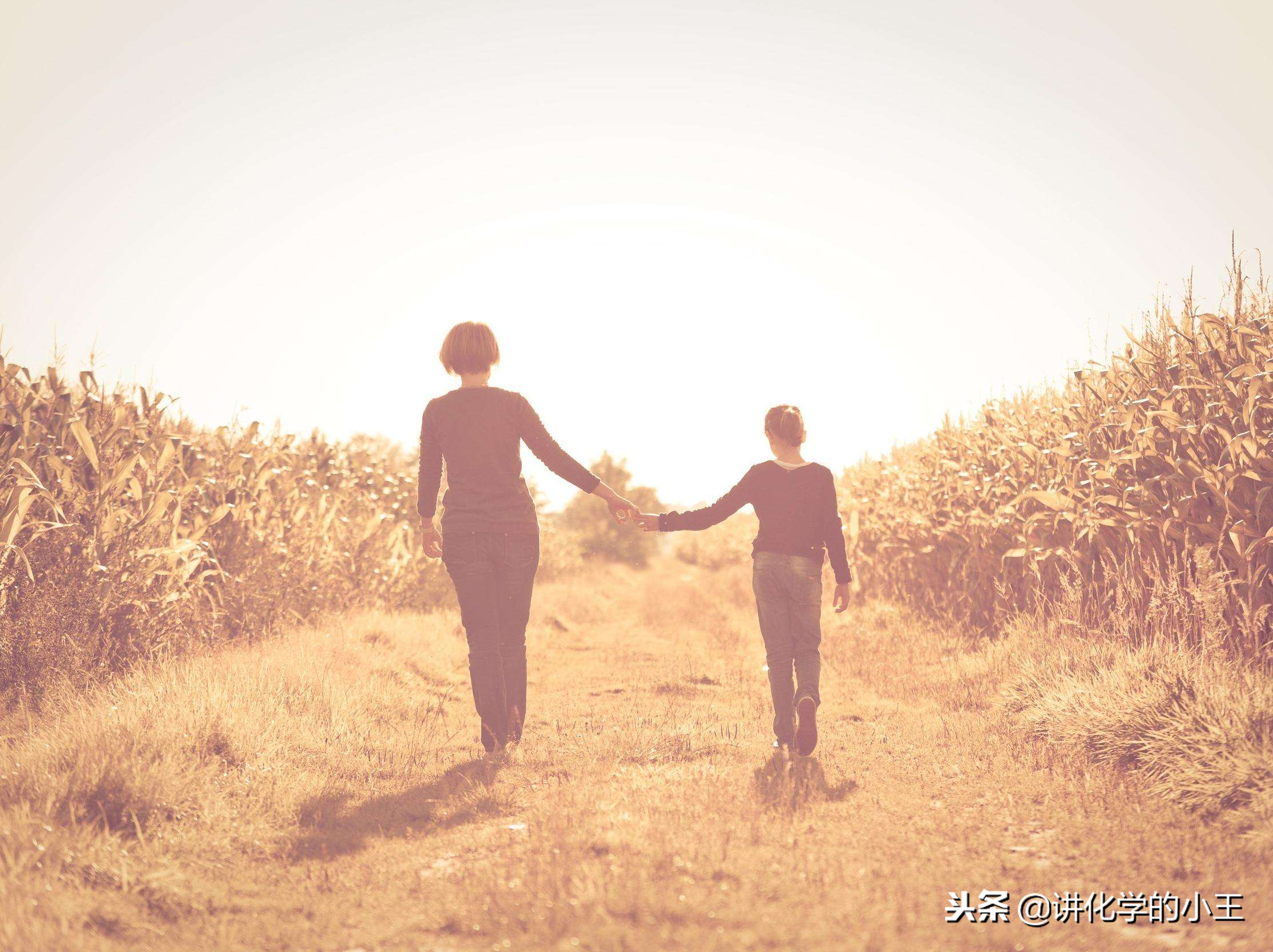 高中语文优秀作文—母亲，这时的你是否在人群中探着头遥望着我？