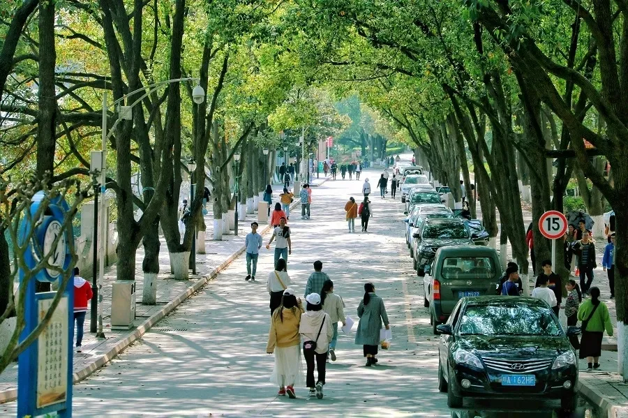 绵阳的老牌专科大学，拥有全国诸多荣誉，今年还要进行高职单招