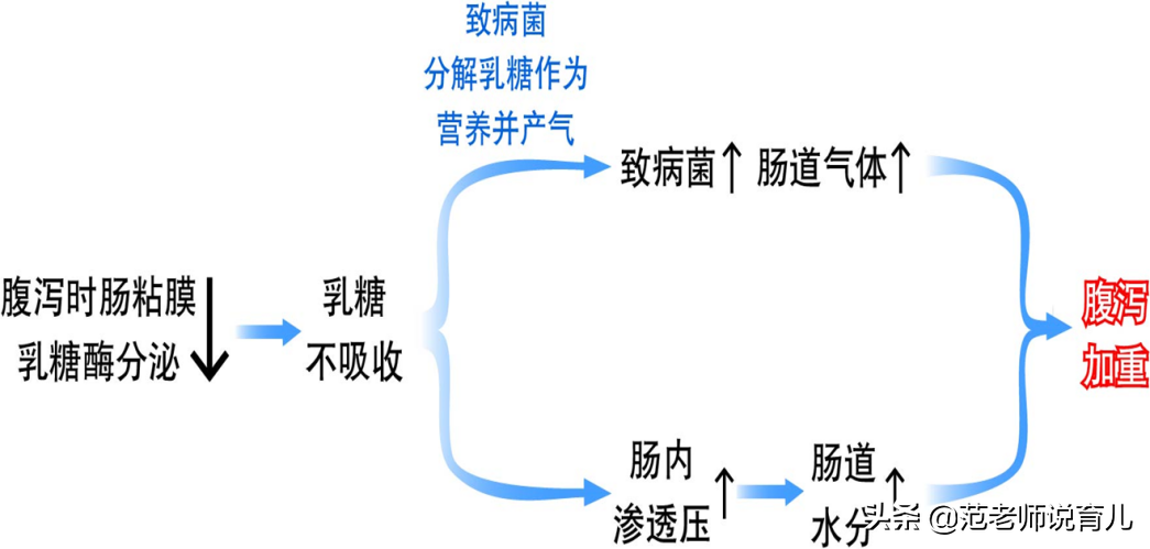 宝宝拉肚子别再只吃益生菌了，用好“乳糖酶”宝宝少受罪！