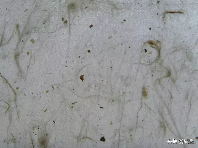 世界读书日：聊一聊中国古籍纸张种类