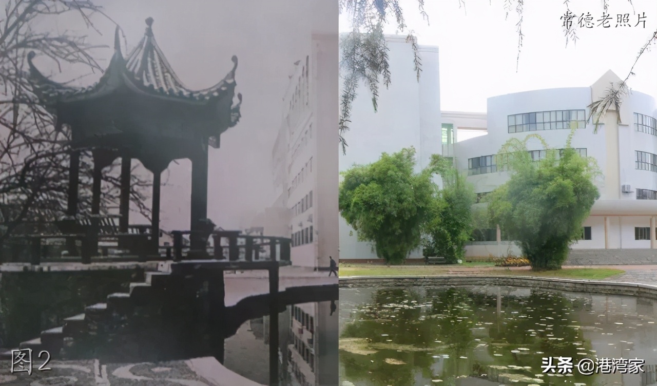 湖南文理学院老照片：T3，运动会，图书馆，林荫路，师专