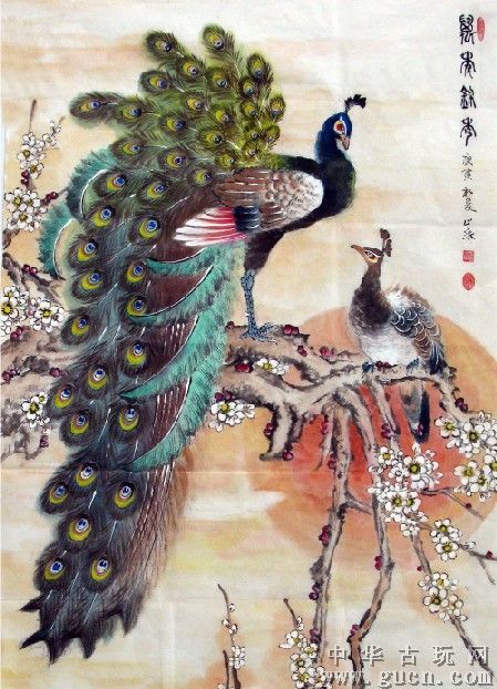 孔雀东南飞！高贵、冷艳的白孔雀