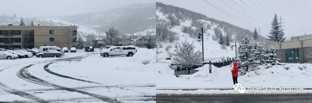 当大雪飞过那个小镇,我哪儿都不去 | 当我滑雪时我在想什么
