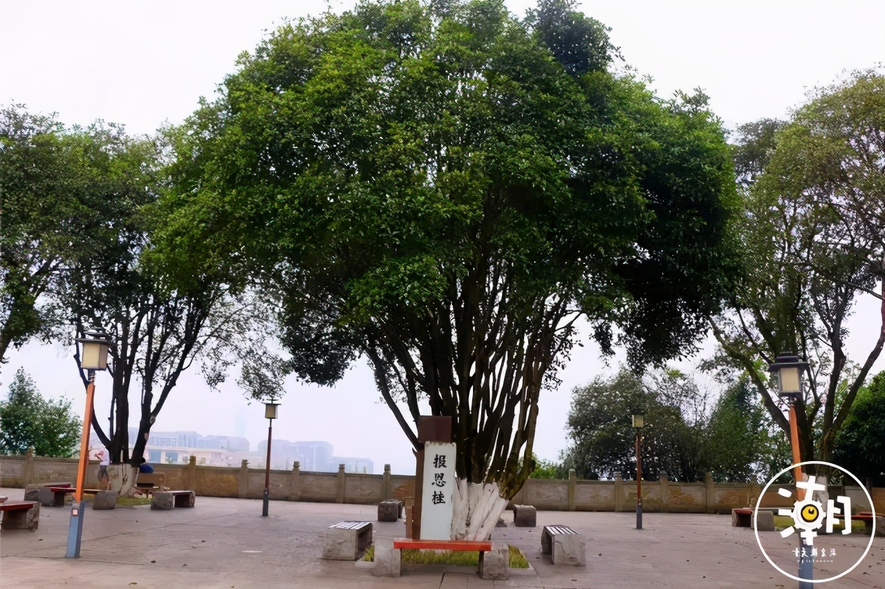 重庆30个风景优美的地方
