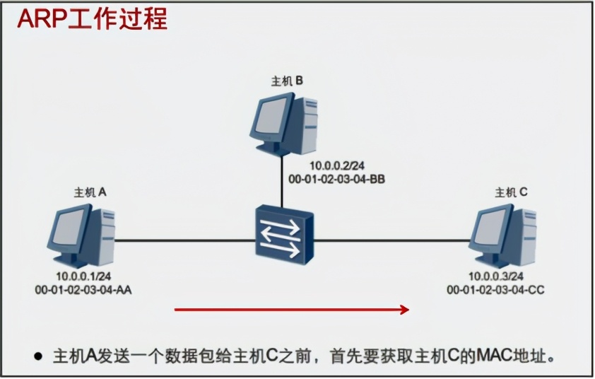 「网工小白必备」全网最详细的网络基础之ARP协议