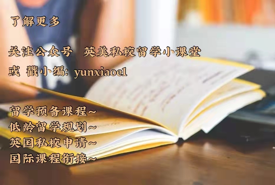 与《小屁孩日记》媲美！风靡英美小学、适合6-12岁《疯狂学校》