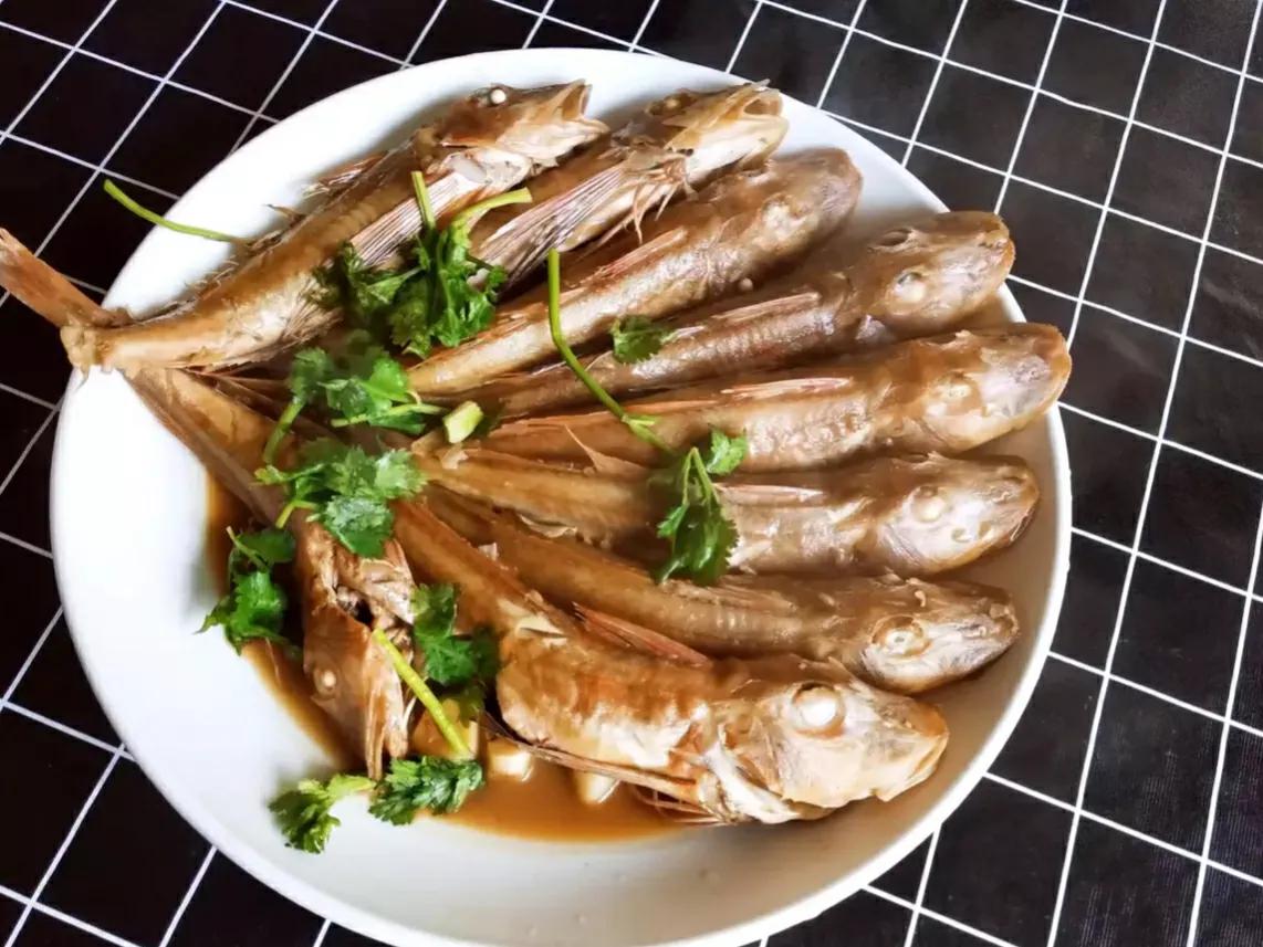 海魚的種類圖片,海魚種類名稱圖片大全